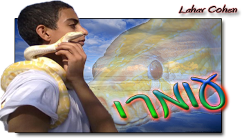 תמונה