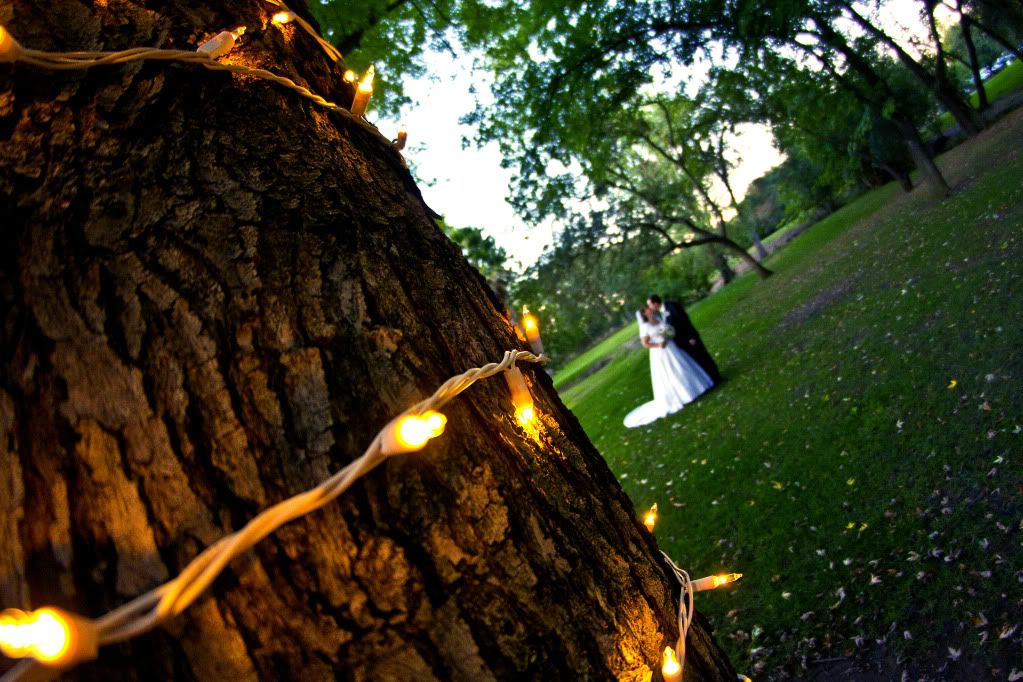 IMAGE: http://i1103.photobucket.com/albums/g463/Roc34ky/Goodheart%20Wedding%20October%202011/TreeKiss.jpg