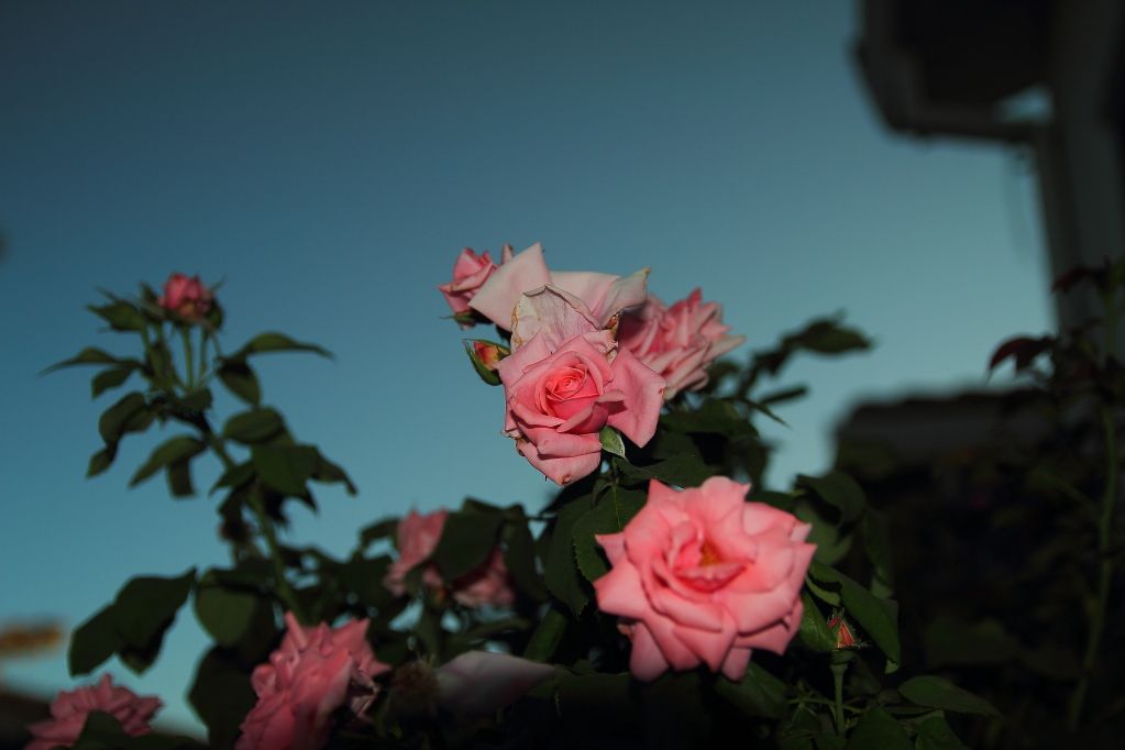 IMAGE: http://i1103.photobucket.com/albums/g463/Roc34ky/Neutral%20Density%20Photographs/Stacked_Filter.jpg