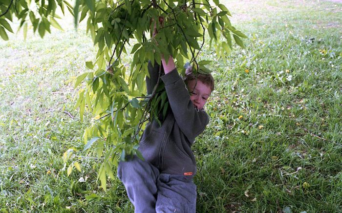 Photobucket