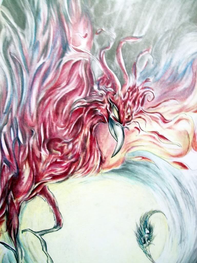 ilustra ilustra