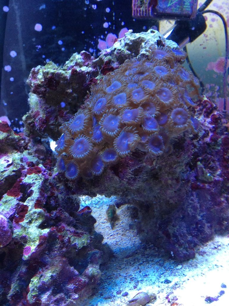 5D480230-BFB1-4592-9826-66D6C194C2A5-1649-0000020EA591602F.jpg