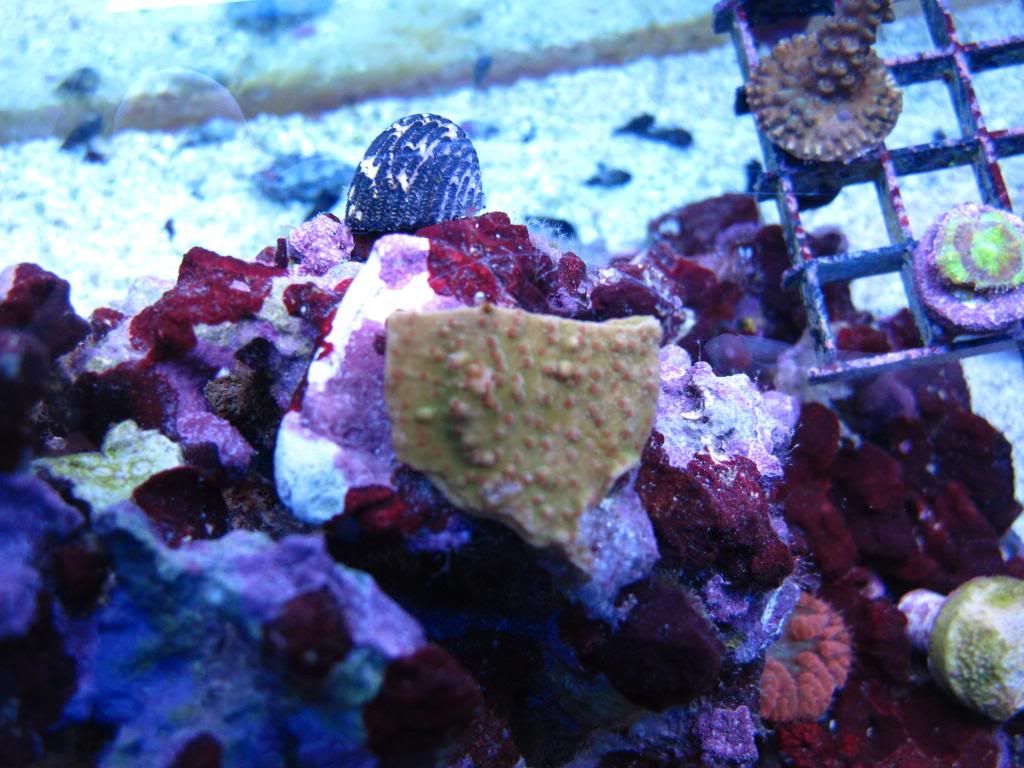 IMG_2996.jpg