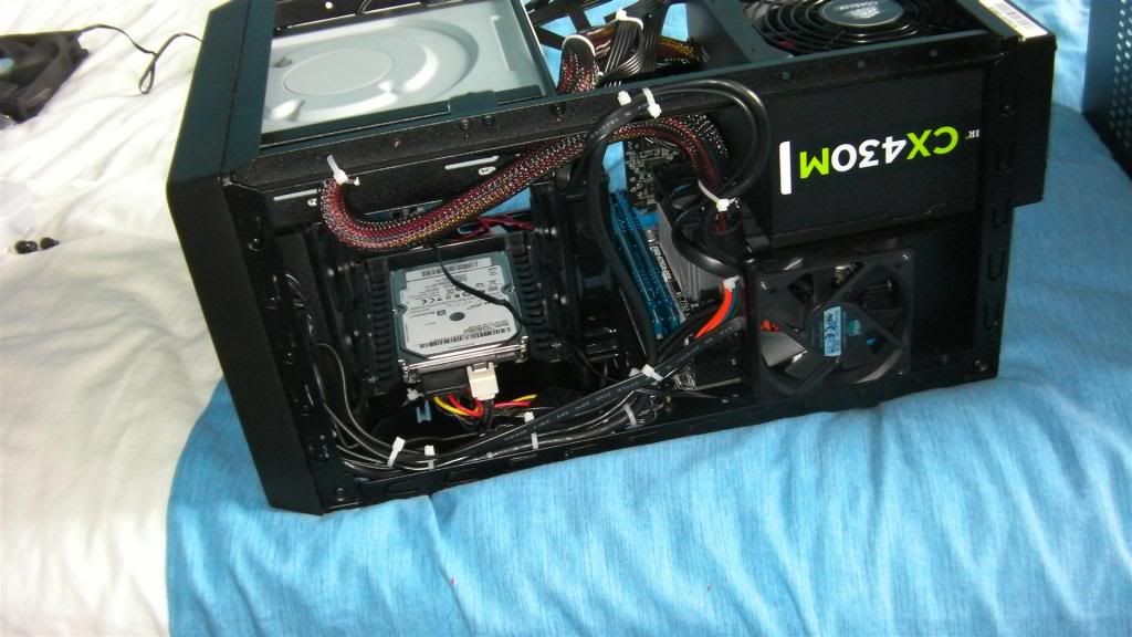 lan10Large_zps53ae9f52.jpg