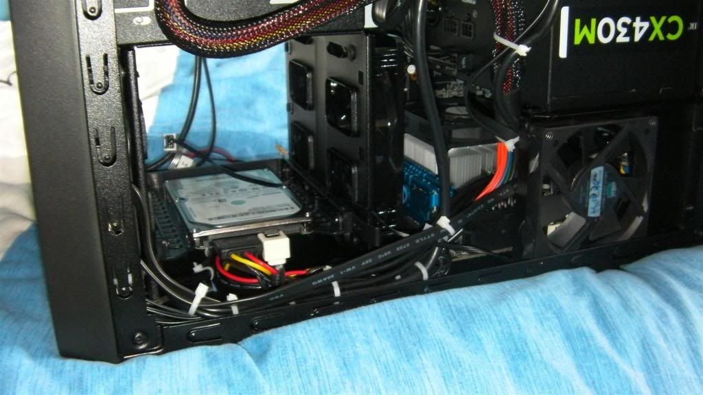 lan11Large_zps80b465c5.jpg