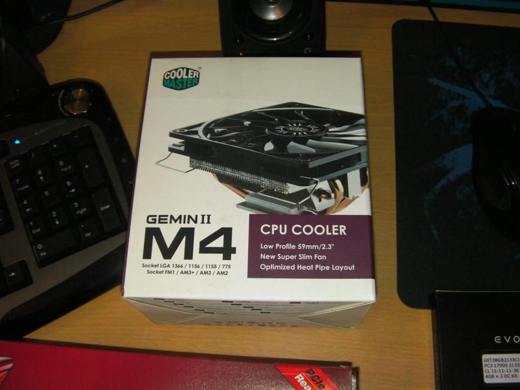 lan07.jpg