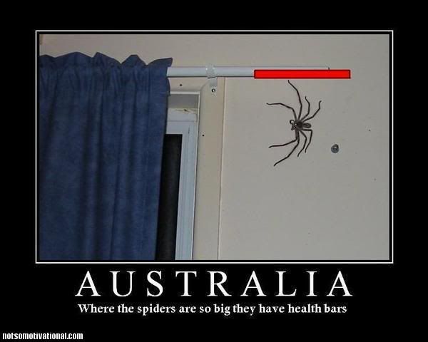 australia-huge-spiders-health-bar_001.jpg