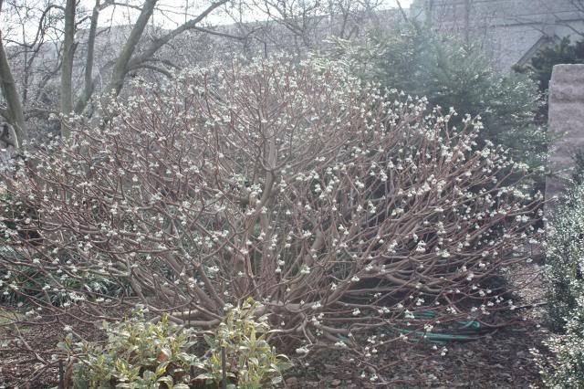photo 01-13-14007.jpg