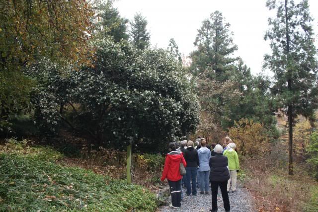 photo 11-16-13010.jpg