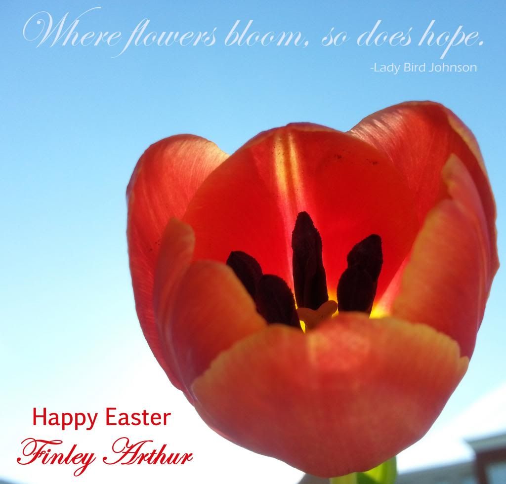 Easter tulips for Finley Easter tulips for Finley
