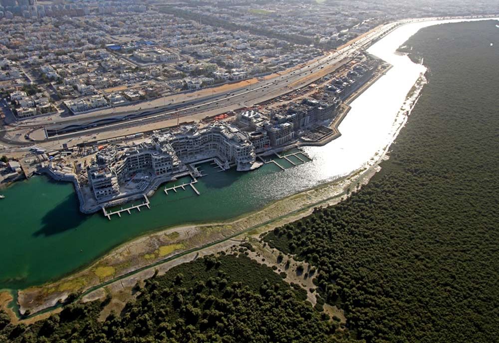  - Eastern-Mangroves