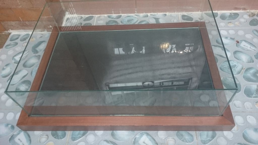 Hồ kính nuôi bò sát - Hamter - 2