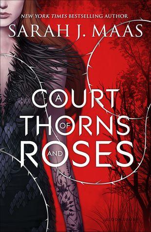  photo Court of Thorns and Roses_zpswnbcfawd.jpg