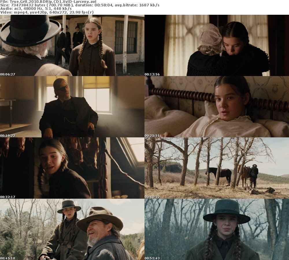 True.Grit.2010.BDRip.