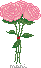 rosespink.png