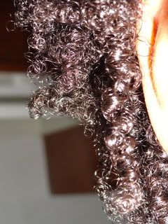 DSC00131.jpg
