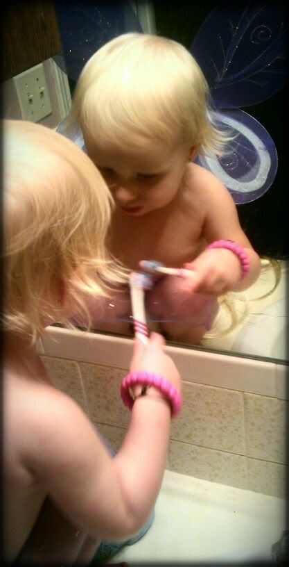 Vignette: Small Black,Snapbucket