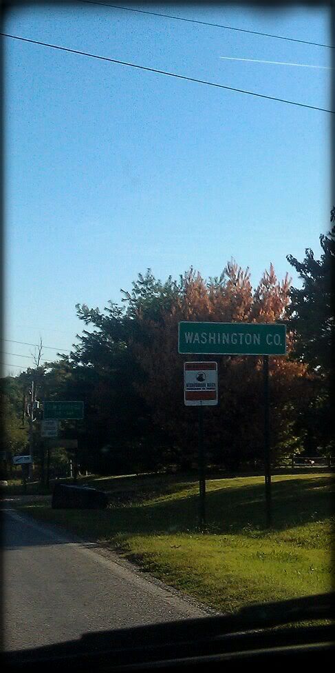 Vignette: Small Black,Snapbucket