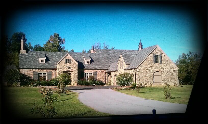 Vignette: Large Black,Snapbucket