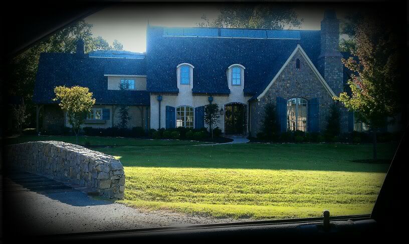 Vignette: Large Black,Snapbucket