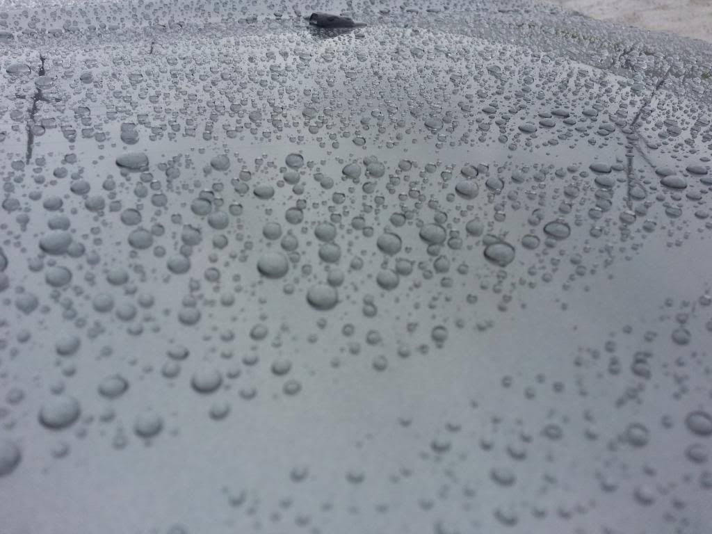 20140514_103358.jpg