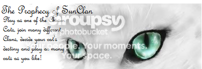 Warrior Cats - The Prophecy of SunClan banner